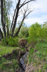 Similar image 21769838