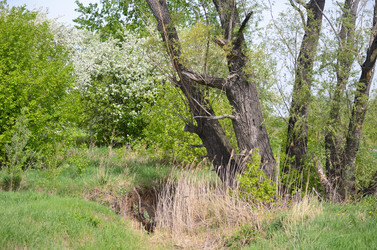 Similar image 21769839