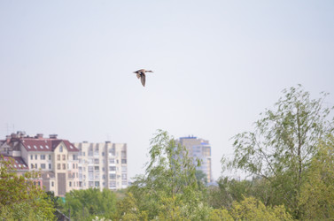 Similar image 21769843