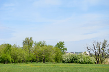 Similar image 21769845