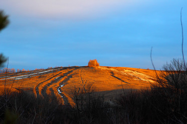 Similar image 21783354