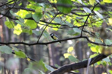 Similar image 21771435