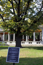 Similar image 21771471