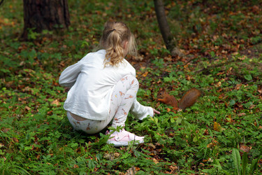 Similar image 21771472