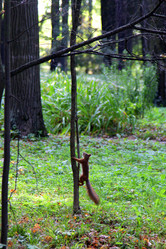 Similar image 21771473