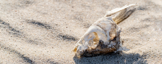 Similar image 21771993