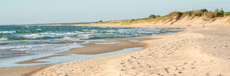 Similar image 21771995