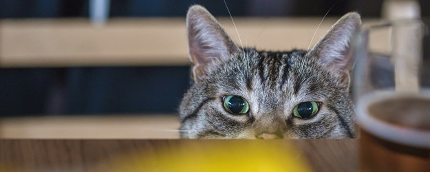 Similar image 21771997