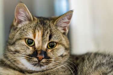 Similar image 21771998