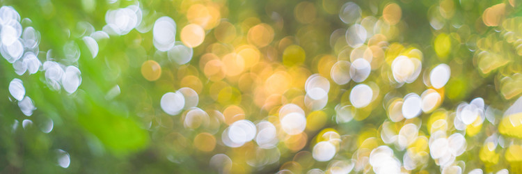 Similar image 21771999