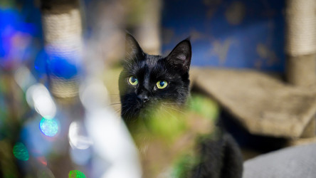 Similar image 21772001