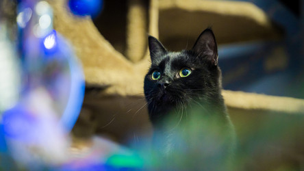 Similar image 21772002