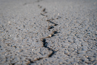 Similar image 21772006