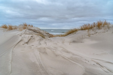 Similar image 21772008