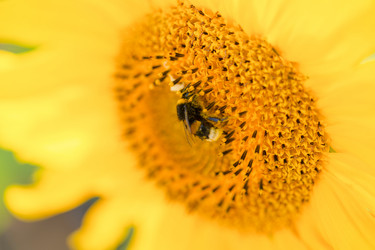 Similar image 21772011