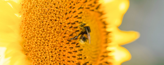 Similar image 21772012