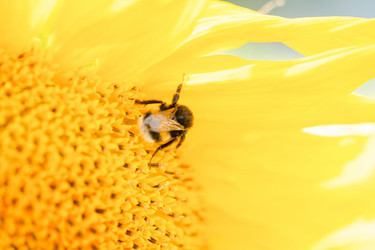 Similar image 21772013