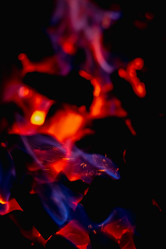 Similar image 21772019