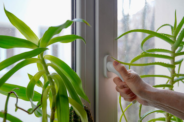 Similar image 21772021