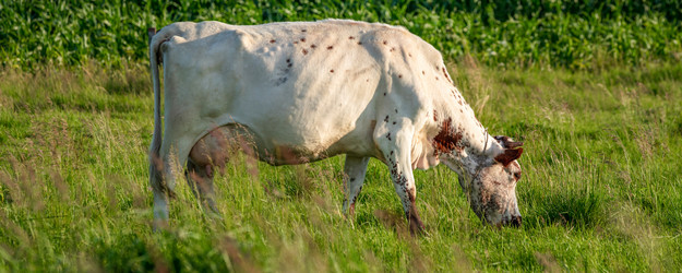 Similar image 21772026