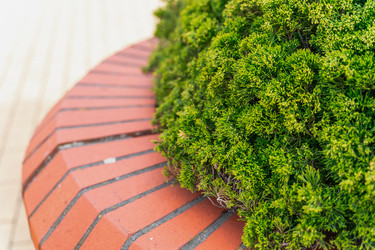 Similar image 21772029