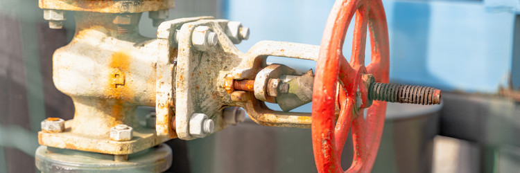 Similar image 21772030