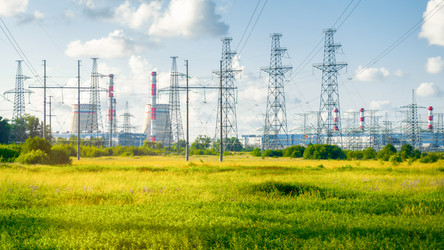 Similar image 21772037