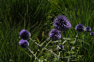 Similar image 21772770