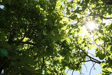 Similar image 21777902