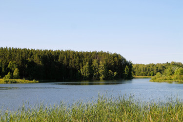 Similar image 21777903