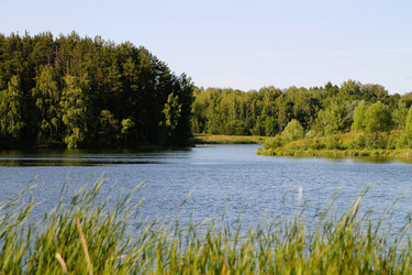 Similar image 21777905