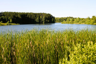 Similar image 21777906