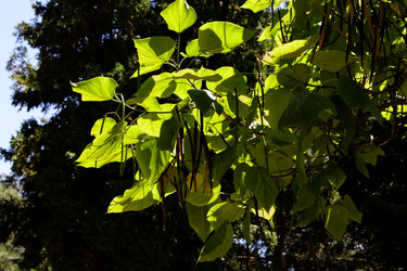 Similar image 21777917