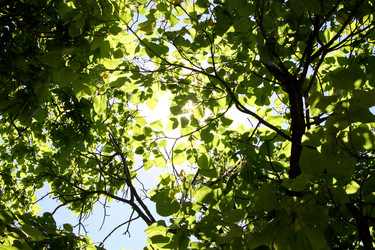 Similar image 21777918