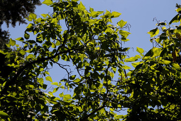 Similar image 21777919