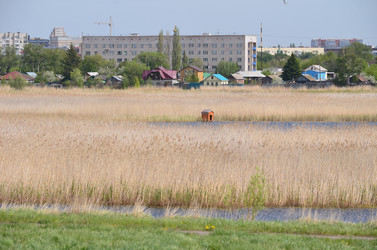 Similar image 21770101