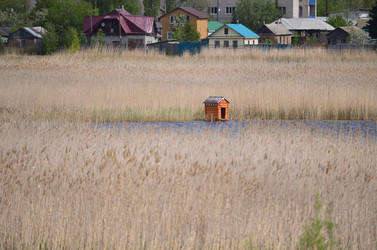 Similar image 21770102