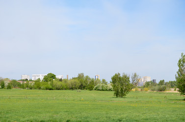 Similar image 21770103