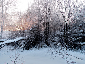 Similar image 21771645