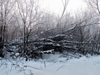 Similar image 21771646