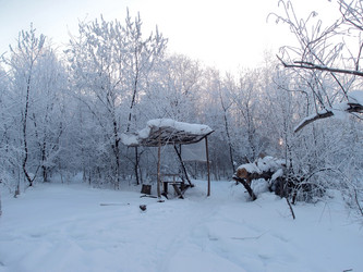 Similar image 21771647