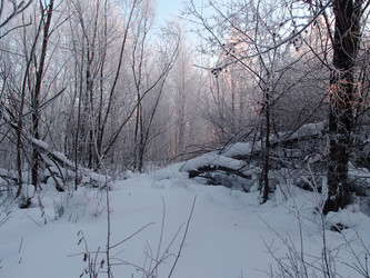 Similar image 21771648