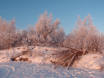 Similar image 21771660