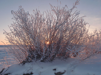 Similar image 21771661