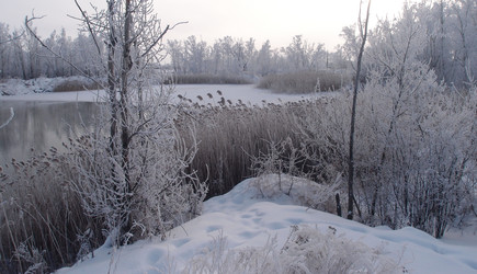 Similar image 21771670