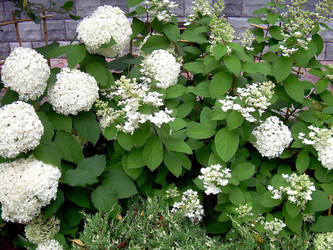 Similar image 21771479