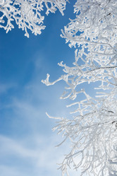 Similar image 21772116