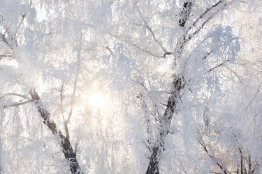 Similar image 21772117