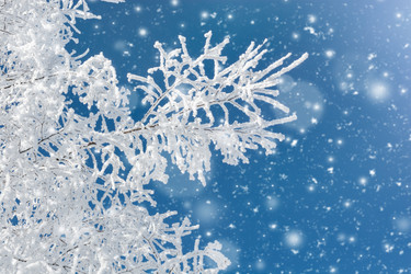 Similar image 21771480