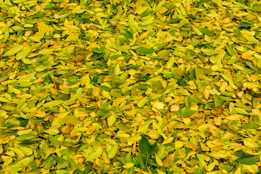 Similar image 21772121